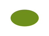 Traymat ovale 19 29cm vert vive 500 pieces
